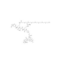 CB07-Exatecan；≥98%；2879247-31-9；阿拉丁
