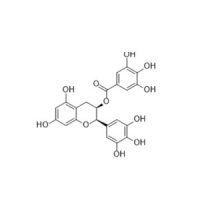 (-)-表没食子儿茶素没食子酸酯，989-51-5，Moligand™, ≥98%，阿拉丁