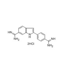 DAPI染色液(即用型),28718-90-3,阿拉丁
