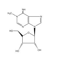 1-甲基腺苷，15763-06-1，≥98%，阿拉丁