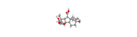 赤霉素；≥90%(HPLC)；77-06-5；阿拉丁
