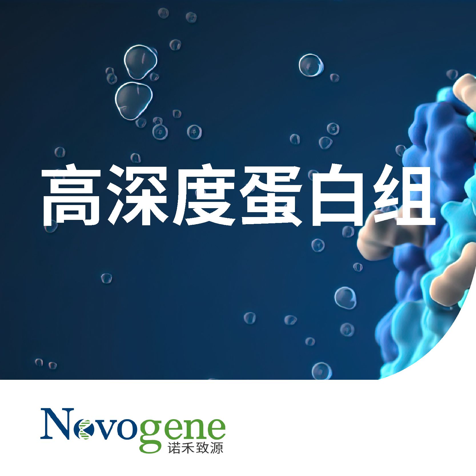高深度蛋白质组