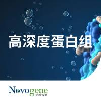 高深度蛋白质组