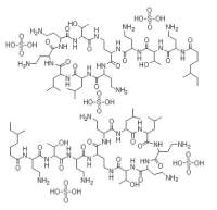 硫酸粘杆菌素；≥19,000 U/mg；1264-72-8；阿拉丁