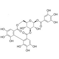 柯里拉京,23094-69-1,≥98%,阿拉丁