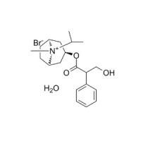 异丙托溴铵一水合物,66985-17-9,≥98%,阿拉丁