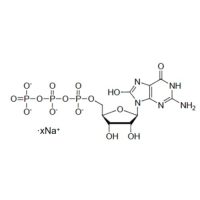 8-羟基鸟苷5'-三磷酸 钠盐,21238-36-8,10 mM 水溶液,阿拉丁