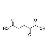 α-酮戊二酸,328-50-7,Moligand™, 用于细胞培养, ≥99%, 内毒素≤10EU/g,微生物总菌落≤100cfu/g,阿拉丁