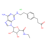 CGS 21680 HCl，124431-80-7，10mM in DMSO，阿拉丁