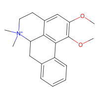 N-甲基荷叶碱，754919-24-9，≥98%，阿拉丁