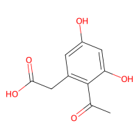曲霉素酸,19053-94-2,≥95%(LC/MS-UV),阿拉丁