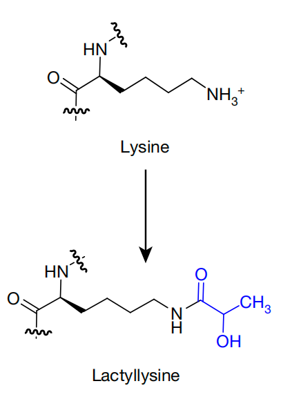 产品细节图片30