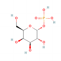 半乳糖-1-磷酸，2255-14-3，≥98%，阿拉丁