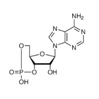 腺苷-3',5'-环磷酸,60-92-4,Moligand™, ≥99%,阿拉丁