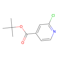 2-氯异烟酸叔丁酯,295349-62-1,≥97%,阿拉丁