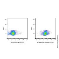 CD31 Rat mAb (PE-Cy7);阿拉丁ExactAb™, 已验证, 0.5 mg/mL;阿拉丁