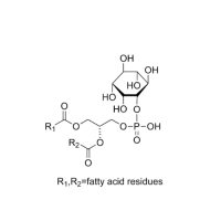 磷脂酰肌醇；50%；97281-52-2；阿拉丁