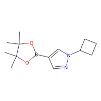 1-环丁基-1 H -吡唑-4-硼酸频哪醇酯,1002309-48-9,阿拉丁