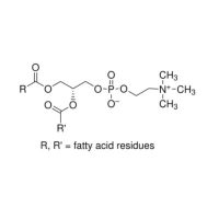 卵磷脂;≥70%, from soybean;8002-43-5;阿拉丁