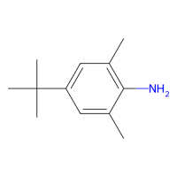 4-叔丁基-2,6-二甲基-苯胺，42014-60-8，≥98%，阿拉丁