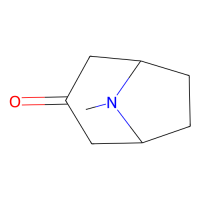 托品酮；10mM in DMSO；532-24-1；阿拉丁
