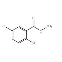 2,5-二氯苯酰肼,67487-35-8,≥97%,阿拉丁