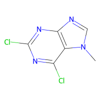 2,6-二氯-7-甲基嘌呤,2273-93-0,≥95%,阿拉丁