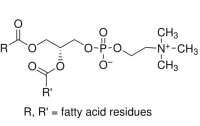 卵磷脂;≥90%, from soybean;8002-43-5;阿拉丁