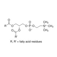 L-α-磷脂酰胆碱；≥99%(TLC), lyophilized powder,egg yolk,Type XVI-E；8002-43-5；阿拉丁
