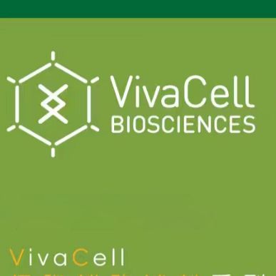 VivaCell货号C37A0-0150间充质干细胞成脂分化染色试剂盒19121878899上海睿安生物VivaCell官方正式授权代理商
