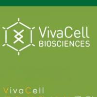 VivaCell货号C37A0-0150间充质干细胞成脂分化染色试剂盒19121878899上海睿安生物VivaCell官方正式授权代理商