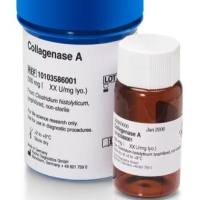Roche货号10103586001胶原酶A(Collagenase A)上海睿安生物Merck-Sigma-Millipore-Roche官方正式授权代理商19121878899