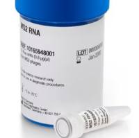 Roche货号10165948001核糖核酸(RNA，MS2)上海睿安生物Merck-Sigma-Millipore-Roche官方正式授权代理商19121878899