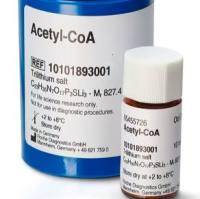 Roche货号10101893001-10mg乙酰辅酶A(乙酰CoA)(Acetyl-CoA)上海睿安生物Merck-Sigma-Millipore-Roche官方正式授权代理商19121878899