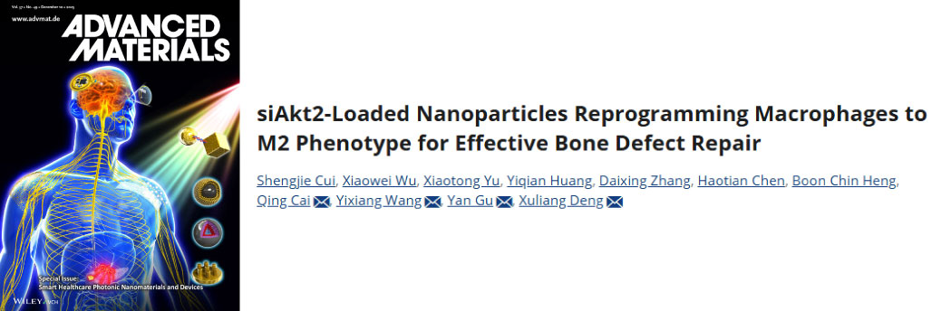 【2025年11月文献战报】Bioss 抗体新增高分文献精彩呈现