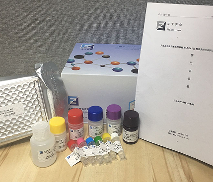 ELISA实验中洗涤步骤不彻底，是否会造成实验结果的假阳性