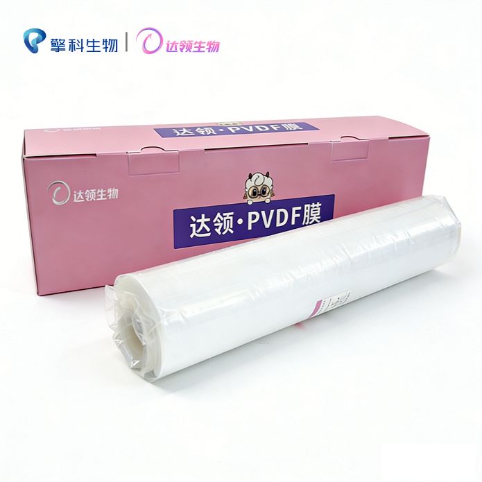 PVDF膜（0.45μm）