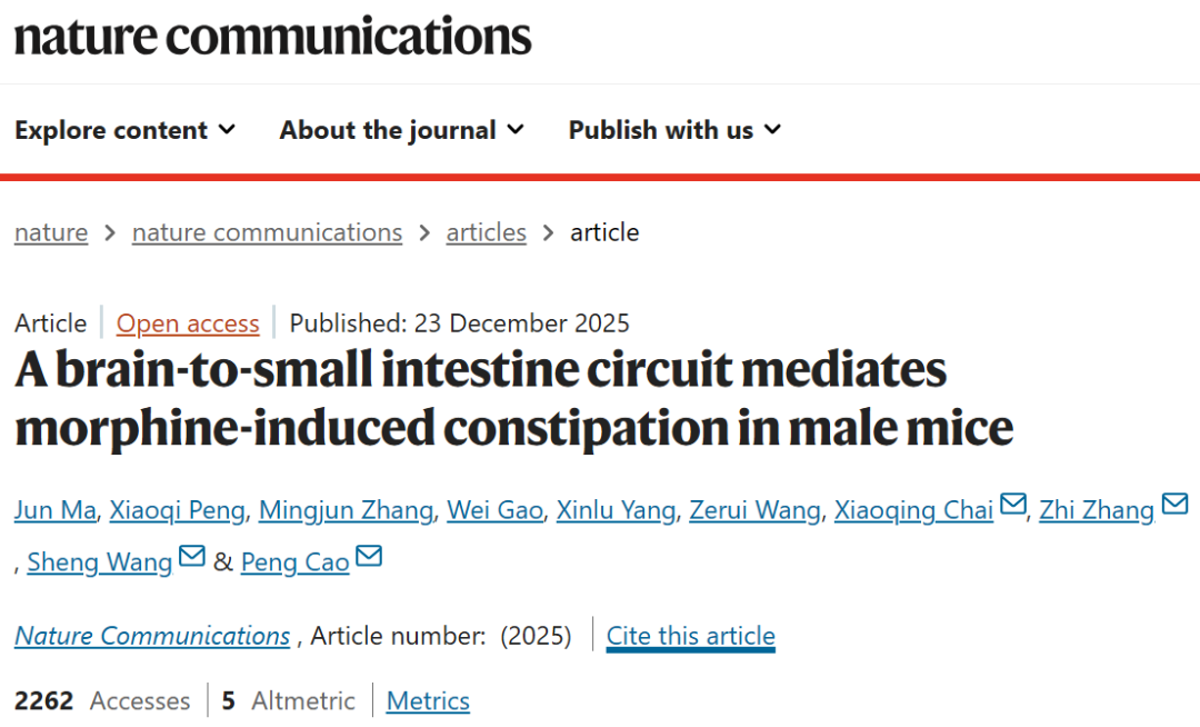 IF=15.7【客户文章】Nat Commun｜中国科大柴小青/张智/王胜/曹鹏教授合作揭示阿丶片类药物致便秘的脑-肠轴神经机制