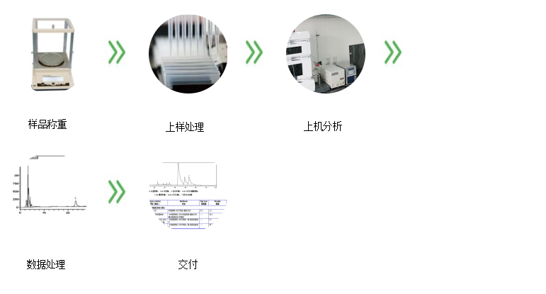 多糖电镜扫描分析服务