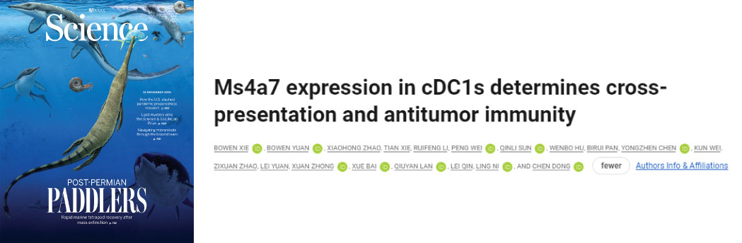 【2025年11月文献战报】Bioss 抗体新增高分文献精彩呈现
