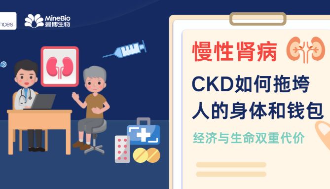 沉默的杀手：慢性肾病（CKD）如何拖垮人的身体和钱包？