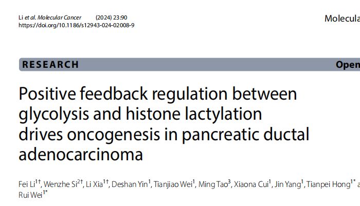 乳酸化专题|Molecular Cancer（2024IF：41.444，JCR Q1）解读：糖酵解-&nbsp;组蛋白乳酸化正反馈环路驱动胰腺导管腺癌发生发展