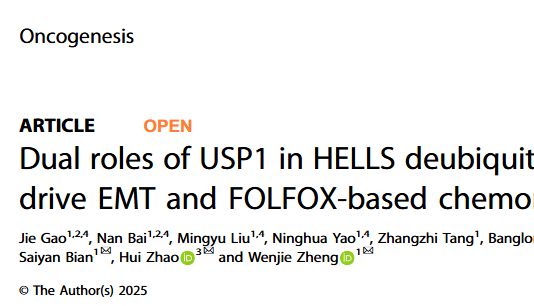 去泛素化专题| Oncogenesis（2024IF：未标注，JCR Q1）解读：USP1 通过去泛素化和 SUMO 化双重调控 HELLS，驱动 EMT 与 FOLFOX 化疗耐药