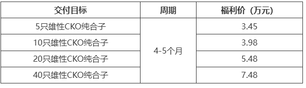 如何用TurboKnockout技术高效攻克复杂基因编辑难题？