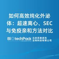 如何高效纯化外泌体:超速离心、SEC 与免疫亲和方法对比