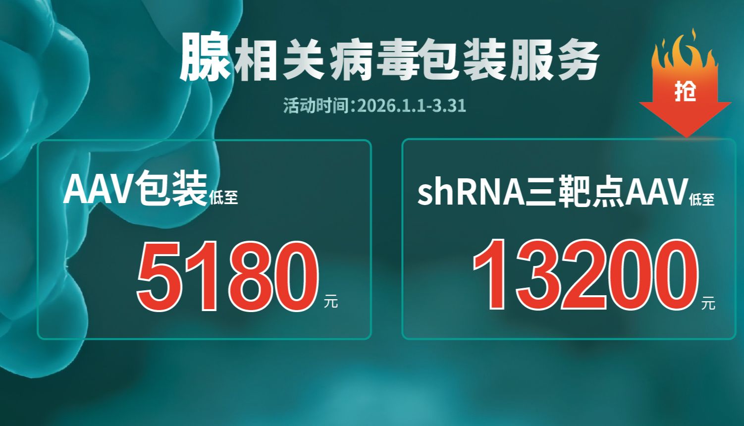 开年大促：AAV病毒包装服务低至5180元，助力科研创新