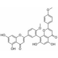 异银杏双黄酮