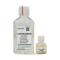 间充质干细胞无血清培养基(HuMSC Medium-serum free)