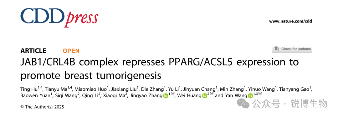 Nature子刊 | JAB1/CRL4B泛素连接酶复合物通过抑制PPARG/ACSL5的表达来促进乳腺肿瘤的发生