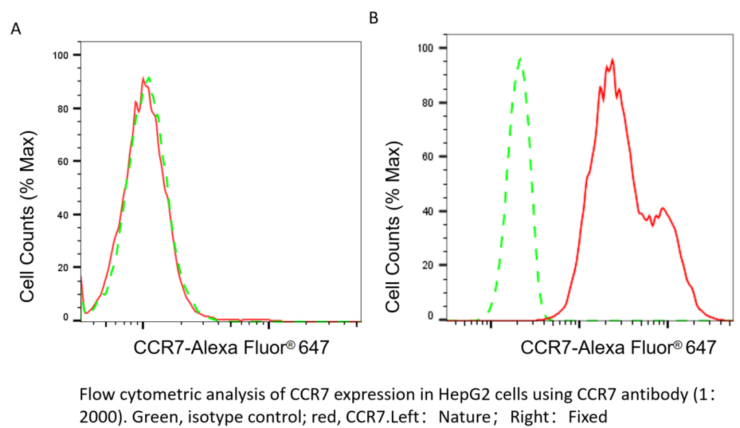 善本实验室论坛第9期丨解析流式染色失灵—抗体识别背后的构象密码